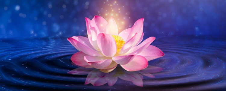 Homepage image